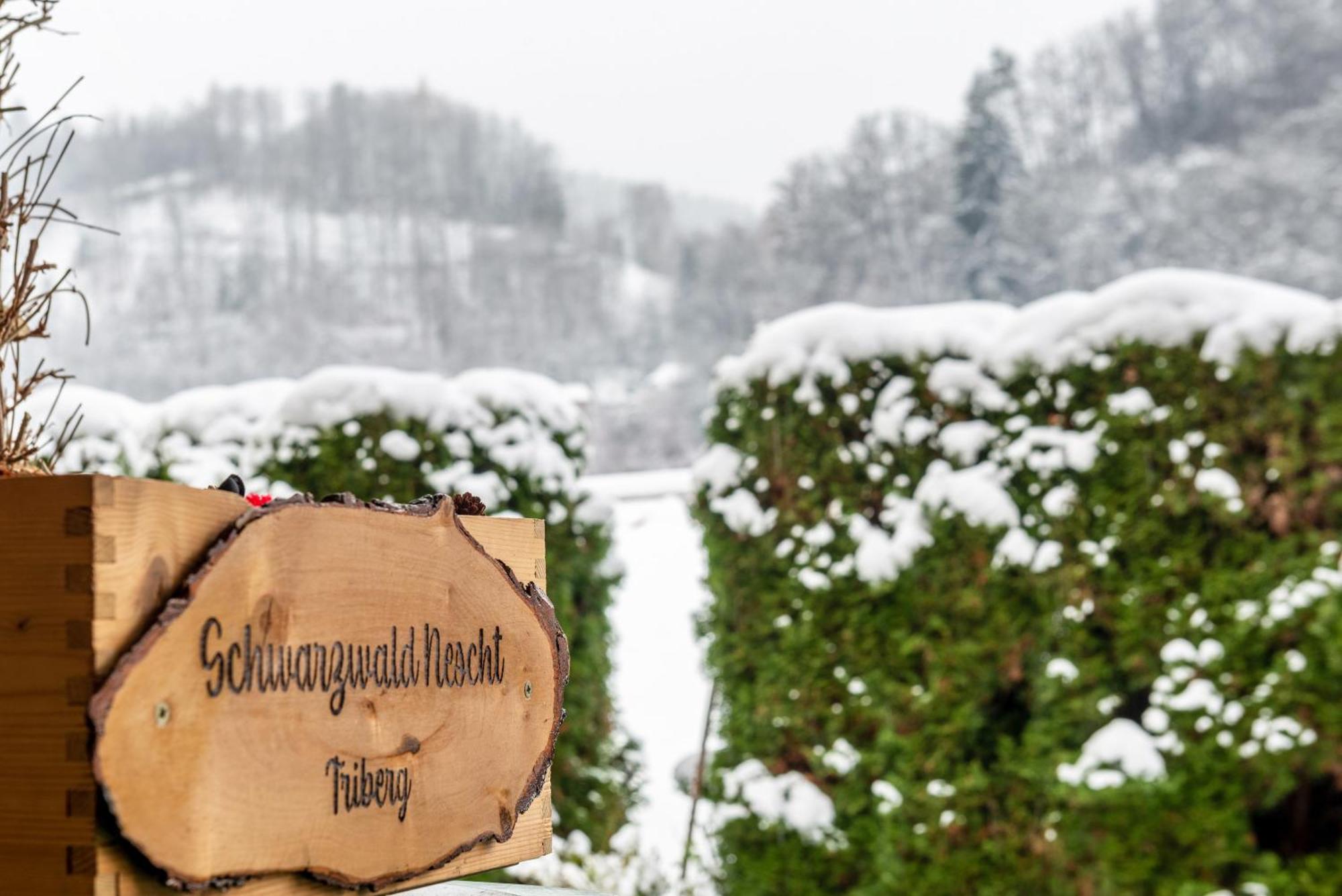 Schwarzwald Nescht Triberg Apartment Triberg im Schwarzwald Ngoại thất bức ảnh