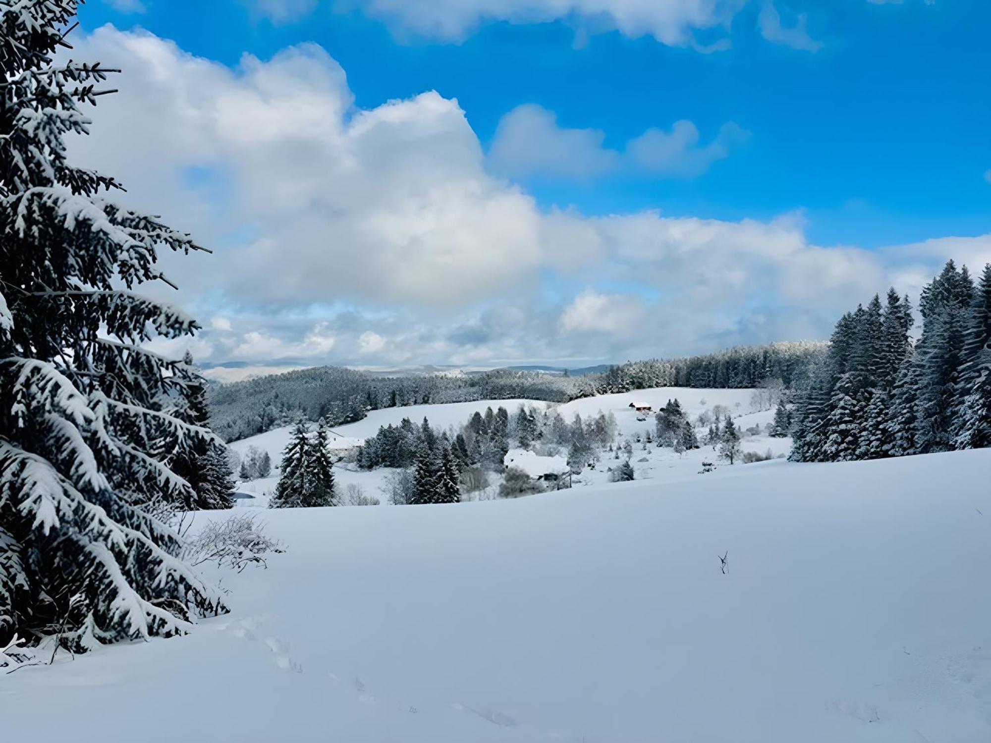 Schwarzwald Nescht Triberg Apartment Triberg im Schwarzwald Ngoại thất bức ảnh