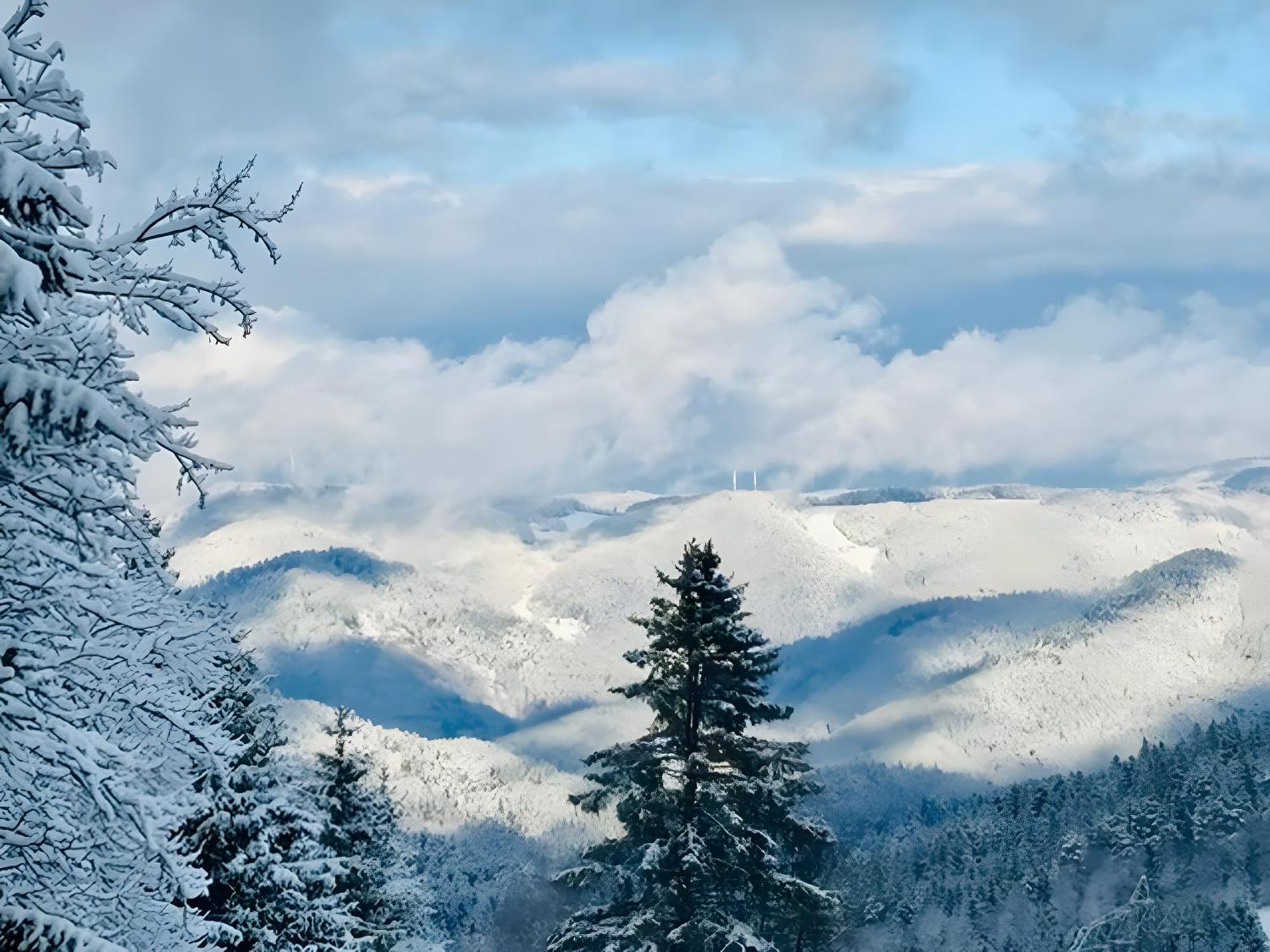 Schwarzwald Nescht Triberg Apartment Triberg im Schwarzwald Ngoại thất bức ảnh